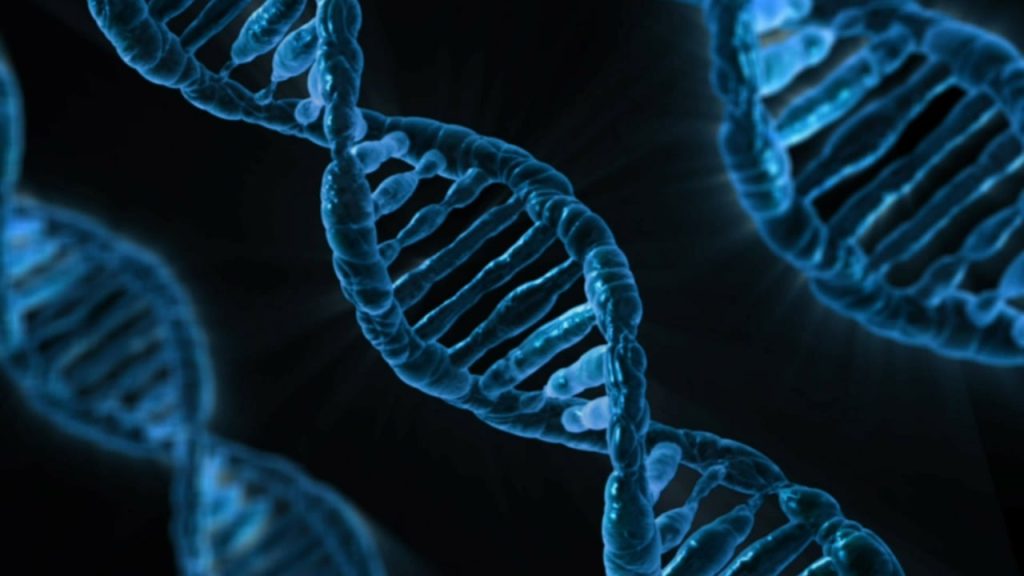découvrez les clés scientifiques du bonheur pour améliorer votre bien-être et vivre une vie épanouie grâce à des conseils basés sur la recherche.