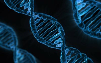 Comprendre les clés scientifiques du bonheur au quotidien